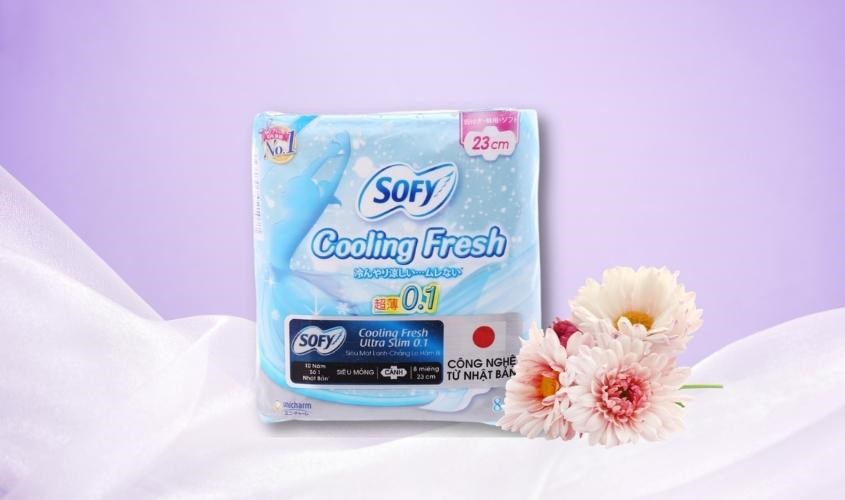 Băng vệ sinh Nhật Bản Sofy