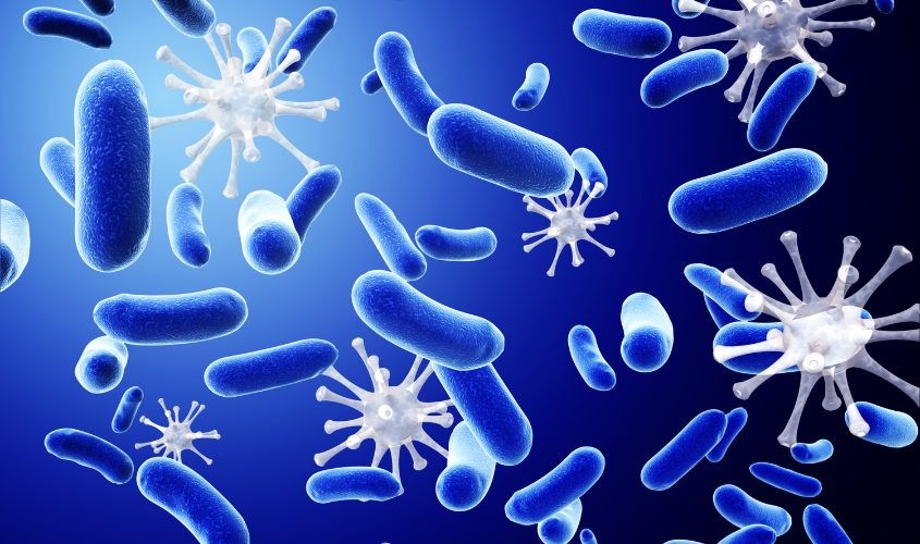 Rửa không sạch vùng kín làm tăng nguy cơ vi khuẩn tấn công