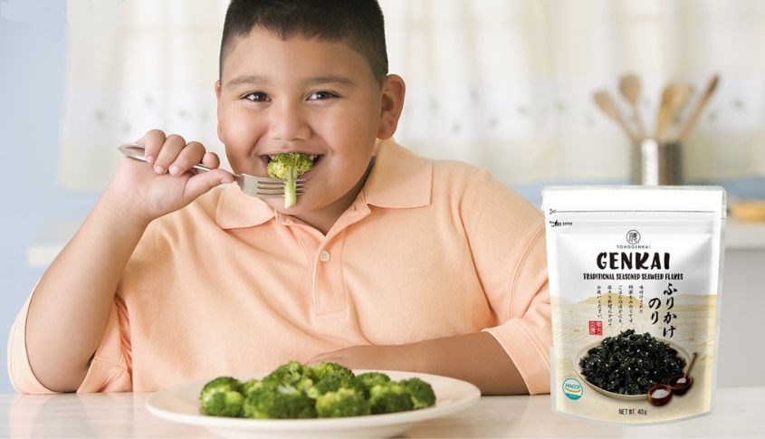Rong biển rắc cơm Tohogenkai vị truyền thống gói 40g có tác dụng giảm mỡ thừa ở trẻ béo phì