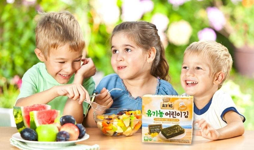 Hộp 10 gói snack rong biển hữu cơ vị truyền thống Alvins 20g