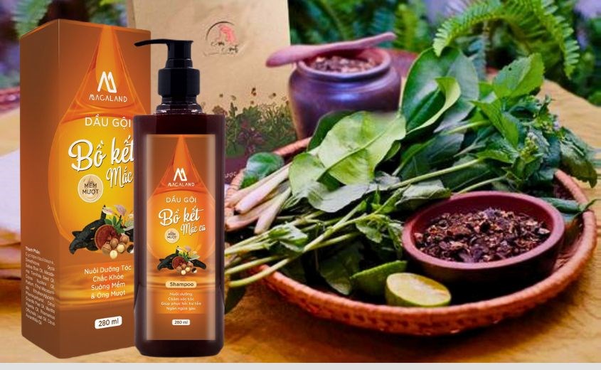 Dầu gội bồ kết MACALAND