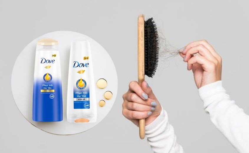 Dầu gội Dove phục hồi tóc hư tổn