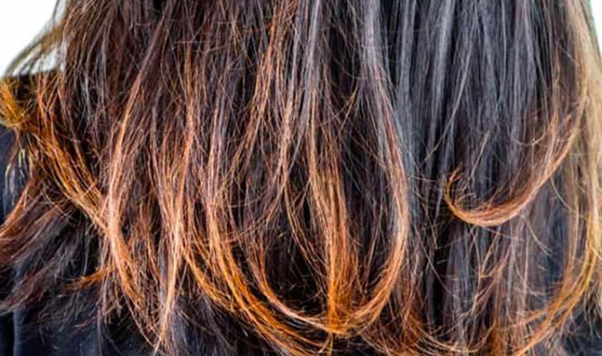 Tóc bị cháy ngã màu vàng đậm Tóc bị cháy ngã màu vàng đậm