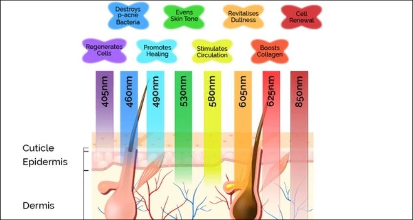 Mỗi màu sắc của phương pháp ánh sáng sinh học sẽ mang đến những hiệu quả trị liệu khác nhau,