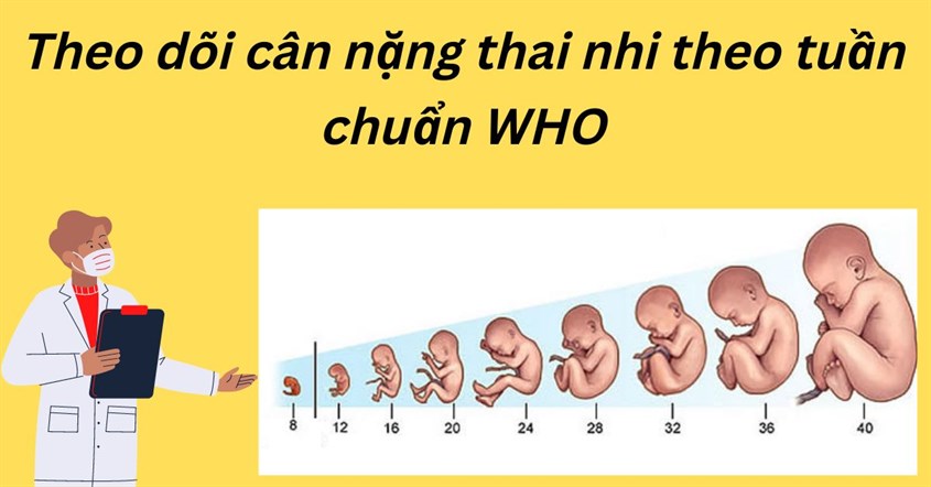 Theo dõi cân nặng thai nhi theo tuần là việc cần thiết và quan trọng.