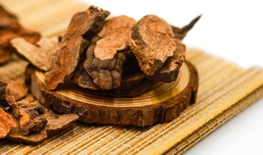 Hà thủ ô giúp giảm rụng tóc hiệu quả Hà thủ ô giúp giảm rụng tóc hiệu quả