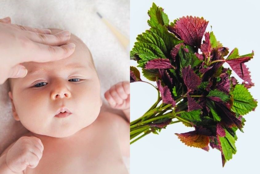 Mẹo chữa cảm cúm cho trẻ sơ sinh