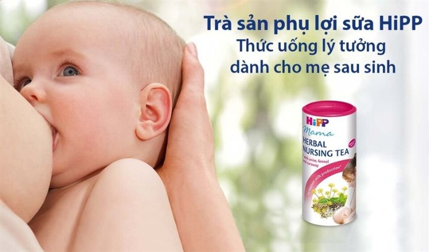 7. Tổng Kết: Có Nên Dùng Trà Lợi Sữa Hipp Không?