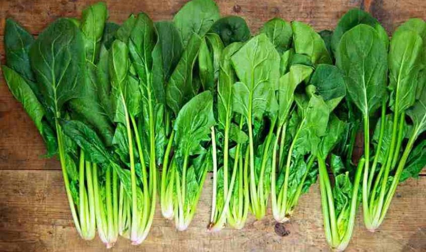 Không kết hợp sữa đậu nành với rau chân vịt