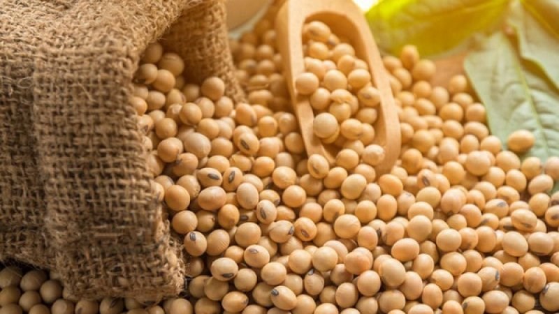 6 tác dụng của protein đậu nành có thể bạn chưa biết