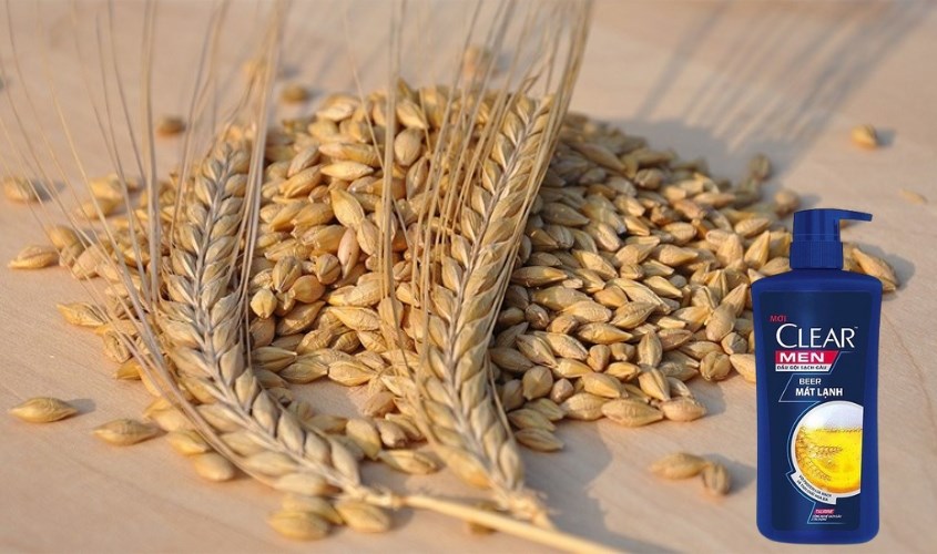 Dầu gội Clear men bia giúp kích hoạt khả năng tự bảo vệ của da đầu từ bên trong