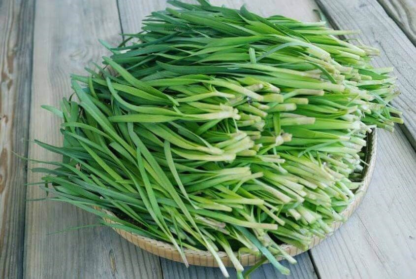 Trẻ sơ sinh có đờm Trẻ sơ sinh có đờm