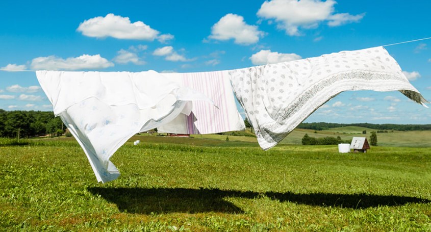 Phơi địu nơi thoáng mát