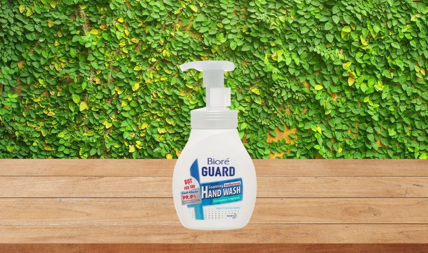 Bọt rửa tay Bioré hương khuynh diệp chai 250 ml