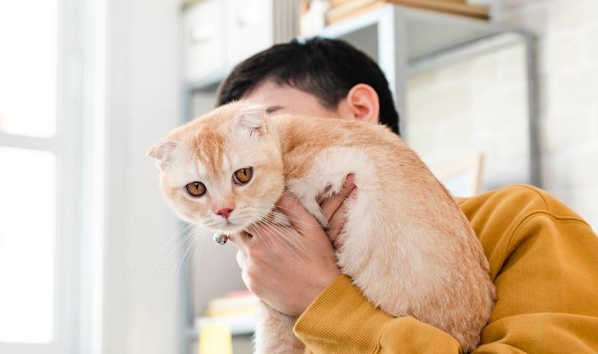 Sau khi ôm động vật bạn nhớ phải vệ sinh tay sạch sẽ