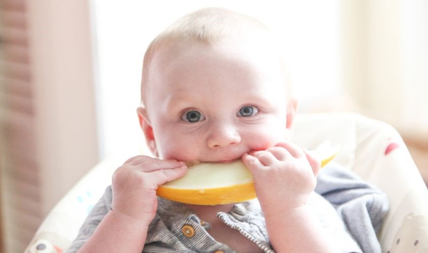 Chỉ cho phép một bữa ăn nhẹ giữa các bữa chính Chỉ cho phép một bữa ăn nhẹ giữa các bữa chính