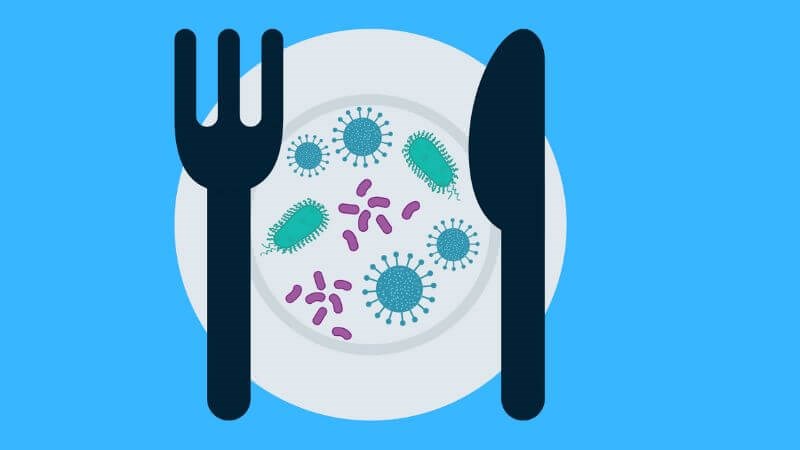 Xuất hiện vi sinh vật có hại trong thức ăn là nguyên nhân gây ngộ độc thực phẩm