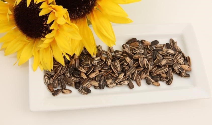 Hạt hướng dương cải thiện sức đề kháng