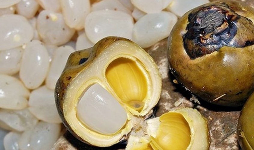 Hạt đác là một phần quan trọng trong chế độ ăn uống của phụ nữ có thai.