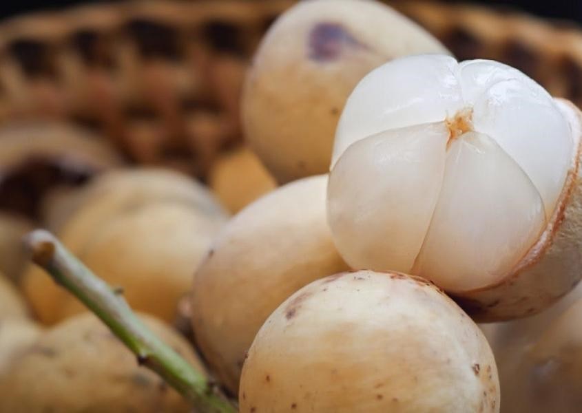 Bầu ăn bòn bon được không?