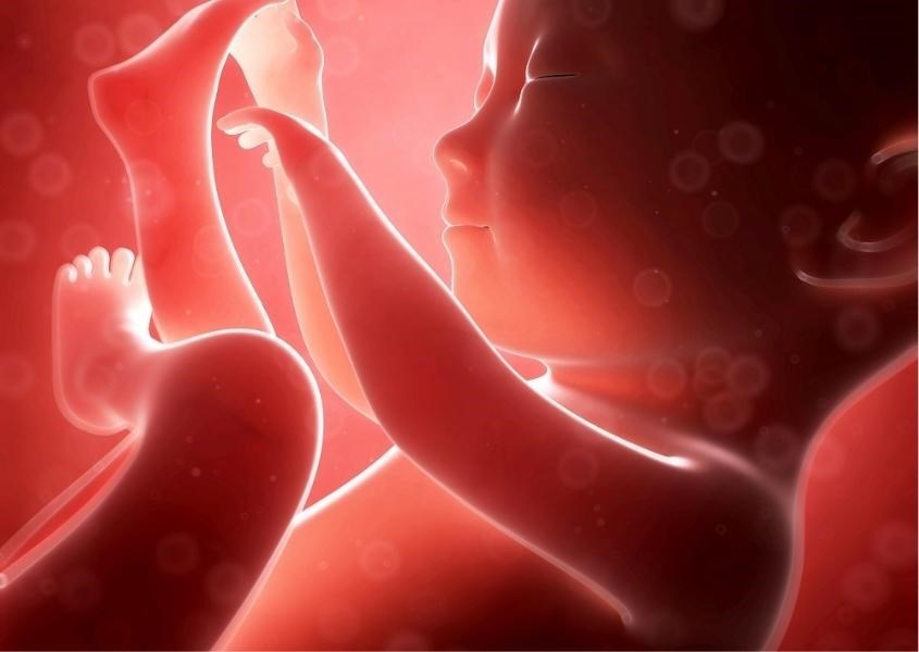 Bầu ăn bòn bòn được không?