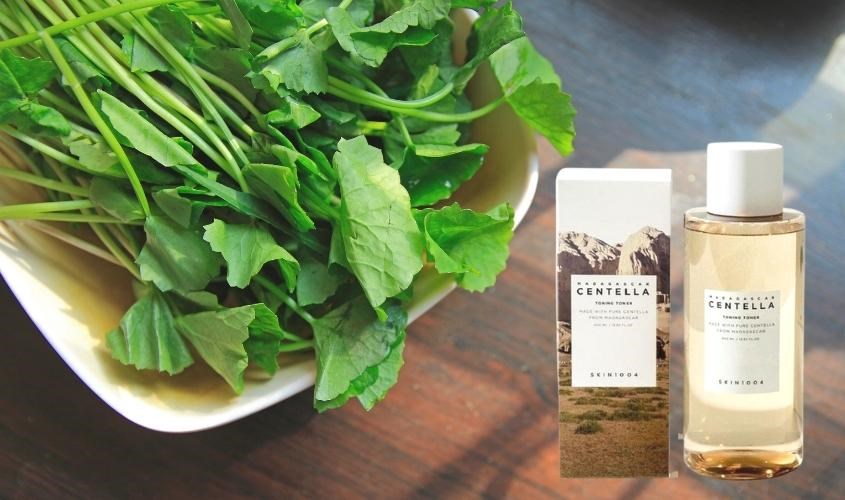 Toner Skin1004 Madagascar Centella Toning chiết xuất rau má, an toàn cho da Toner Skin1004 Madagascar Centella Toning chiết xuất rau má, an toàn cho da