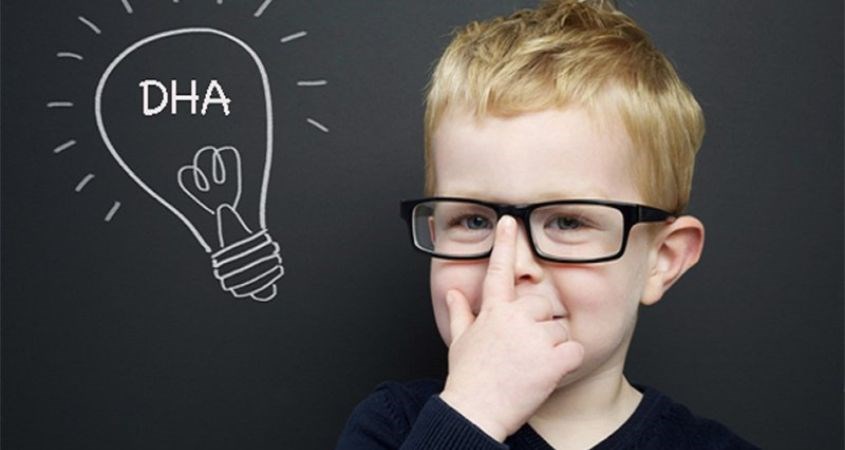 DHA rất có lợi cho sự phát triển trí não của bé DHA rất có lợi cho sự phát triển trí não của bé