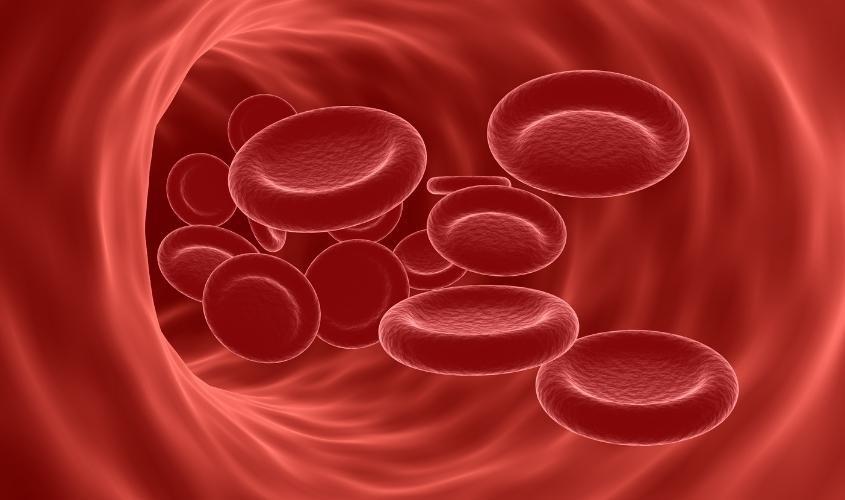 Thiếu máu dẫn đến tình trạng rụng tóc sau sinh