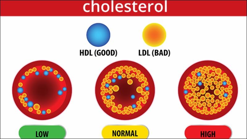 Tỏi đen có tác dụng làm tăng cholesterol HDL tốt cho cơ thể