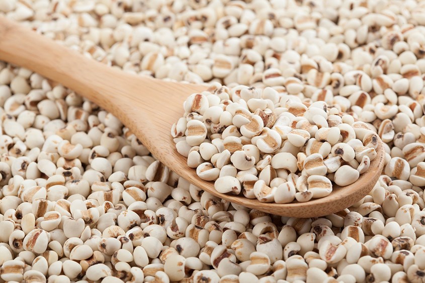 Hạt Ý Dĩ không tốt cho phụ nữ mang thai