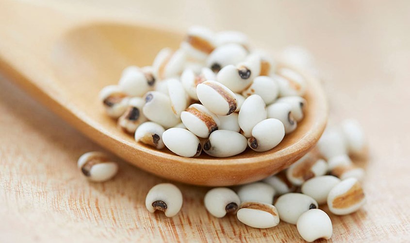 Chiết xuất hạt ý dĩ là thành phần chính trong toner Hatomugi