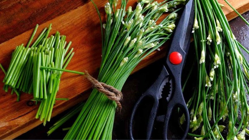 Cây hẹ là một loại cây thân thảo sống nhiều năm, thuộc họ Hành