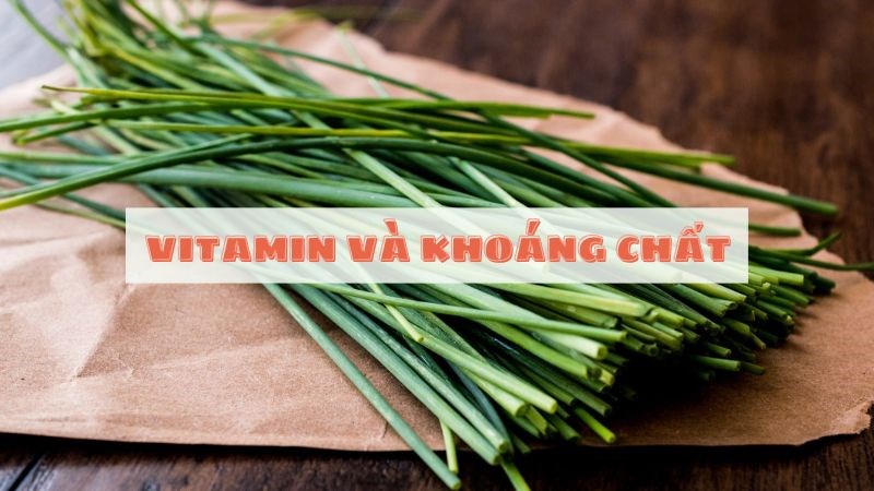 Lá hẹ cung cấp nhiều loại vitamin và khoáng chất có lợi cho sức khỏe