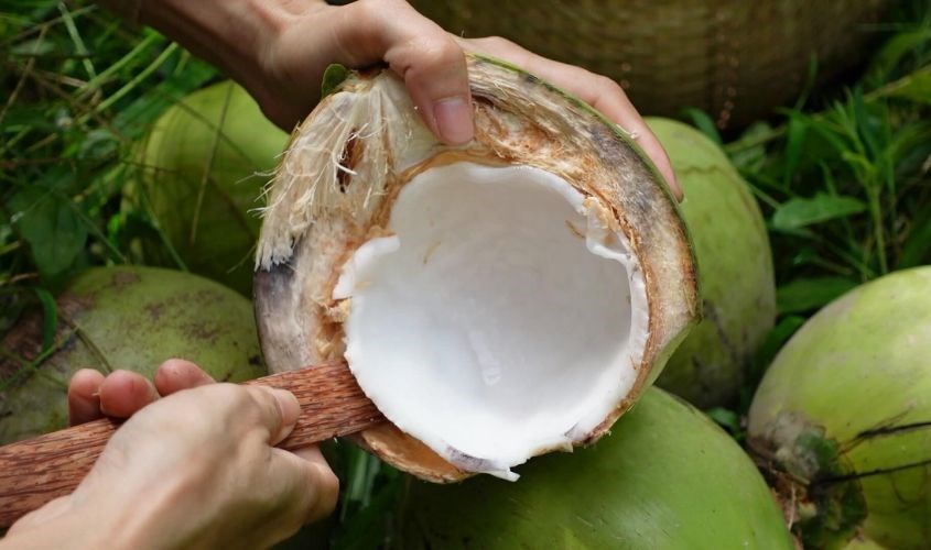 Cạo sạch phần cùi dừa, rửa sạch, thái nhỏ