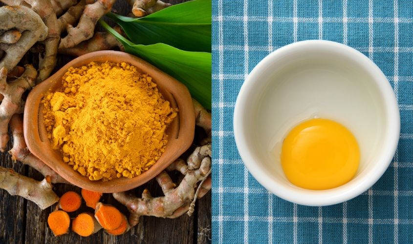 Kết hợp tinh bột nghệ đỏ và mật ong chữa bệnh gì?