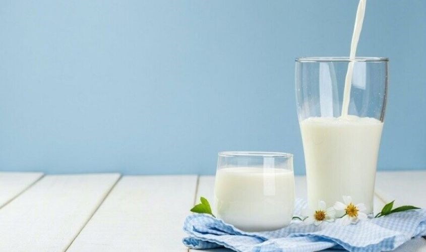 Mất protein từ ruột do uống sữa nhiều