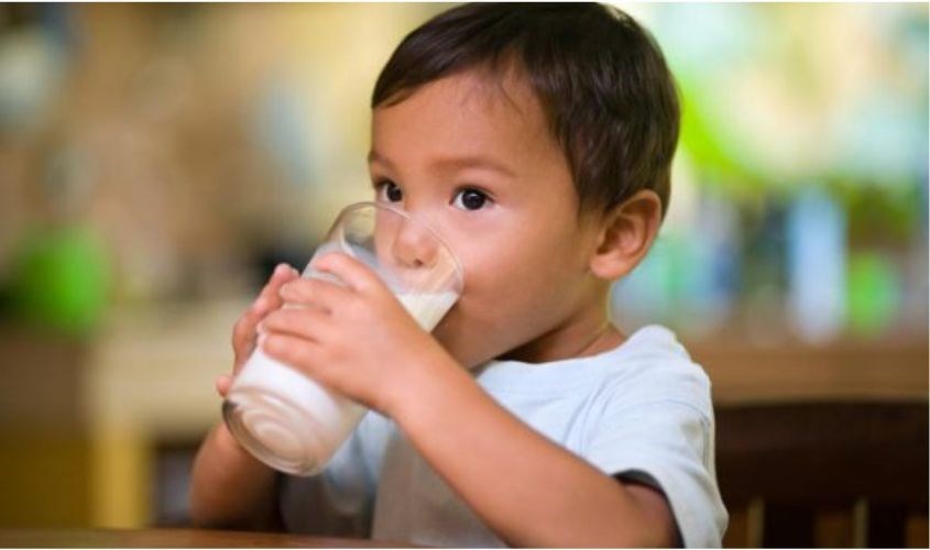 Bí quyết giúp bé tăng cân với sữa tươi A2 Bí quyết giúp bé tăng cân với sữa tươi A2