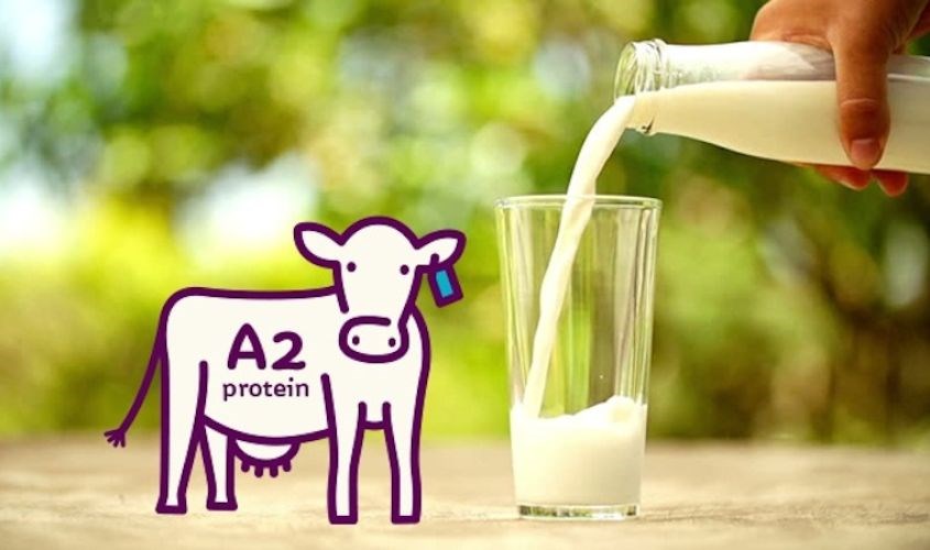 Pha sữa A2 đúng cách Pha sữa A2 đúng cách