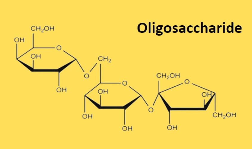 Oligosaccharide có chức năng được như prebiotic.