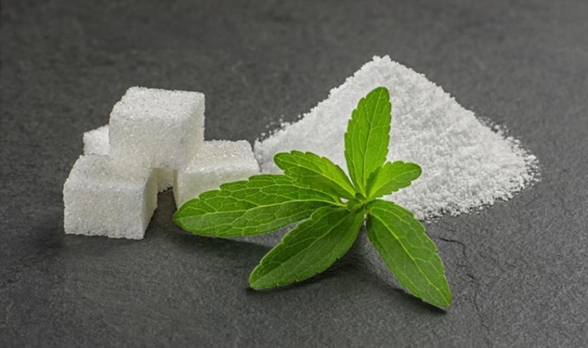 Stevia là một chất làm ngọt chiết xuất hoàn toàn tự nhiên từ ​​lá của cây cỏ ngọt