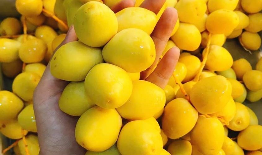 Quả chà là có rất nhiều lợi ích đối với sức khỏe, hỗ trợ chữa bệnh cho con người