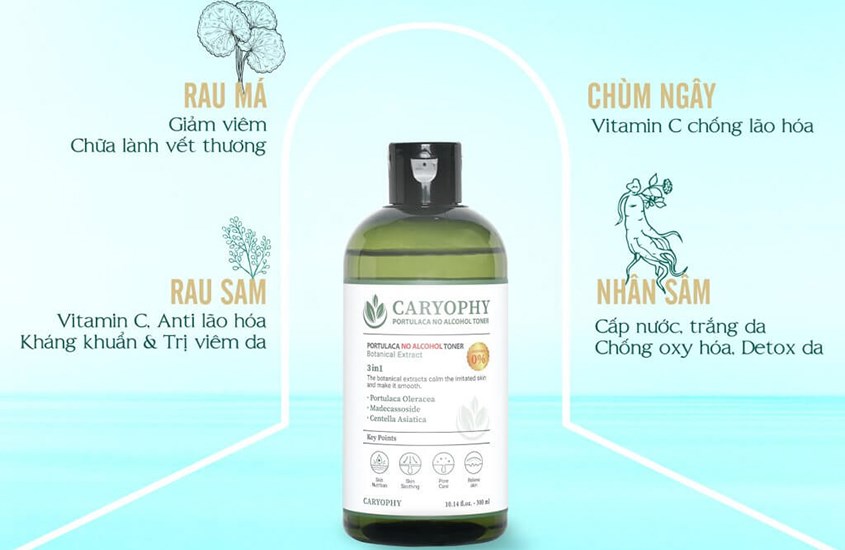 Bảng thành phần chiết xuất thiên nhiên của toner Caryophy