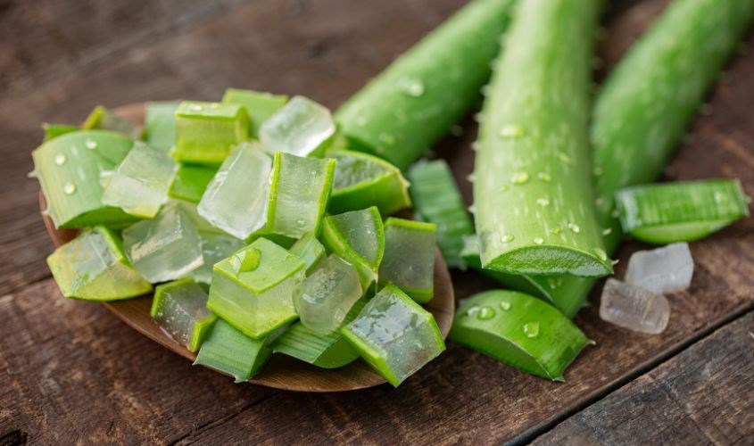 Mặt nạ dưỡng da kết hợp vitamin E và lô hội dưỡng ẩm cho da hiệu quả Mặt nạ dưỡng da kết hợp vitamin E và lô hội dưỡng ẩm cho da hiệu quả