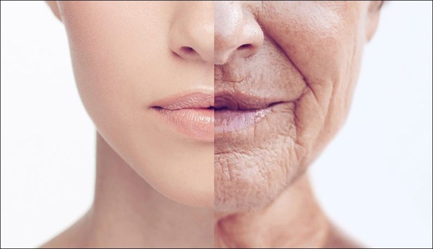 Sử dụng máy xông mặt Magic giúp ngăn ngừa tình trạng lão hóa trên da