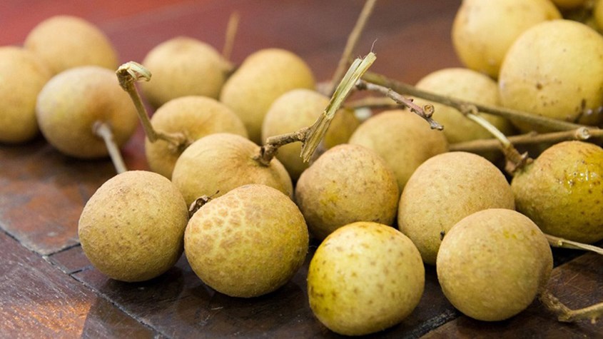 Sản phẩm được chiết xuất từ tinh dầu hạt nhãn giúp da mịn màng tươi sáng Sản phẩm được chiết xuất từ tinh dầu hạt nhãn giúp da mịn màng tươi sáng