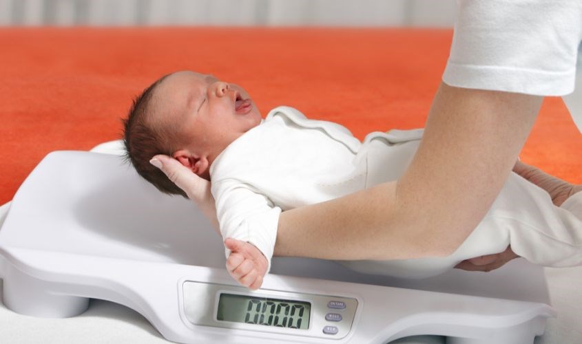 Trẻ sơ sinh thường tăng cân nhanh sau 2 tuần đầu