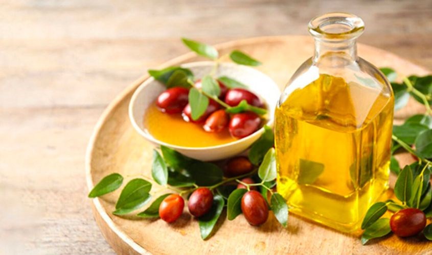 Dầu Jojoba có công dụng phục hồi da hiệu quả