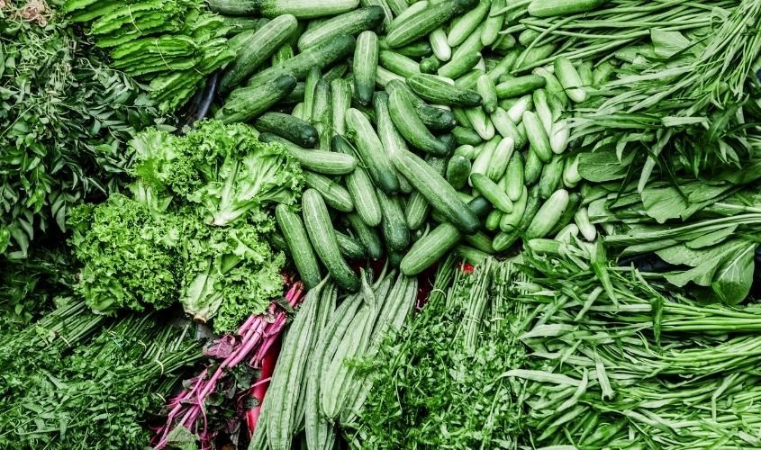 Vitamin K1 có trong rau xanh