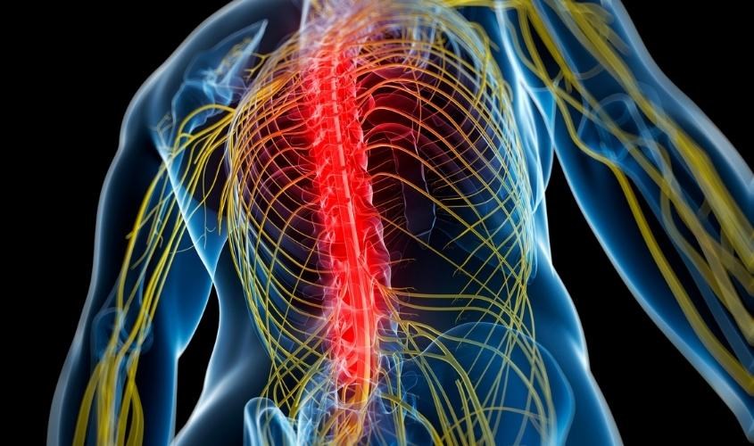 Vitamin K1 giúp xương chắc khỏe