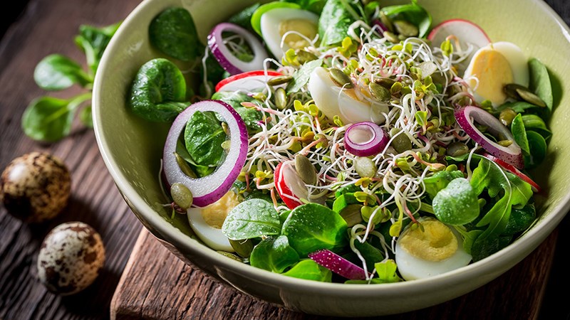 Salad cải bó xôi vừa hỗ trợ tiêu hoá vừa phù hợp với những người đang theo chế độ ăn kiêng